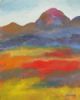 "Vineyards - Hex River Valley"