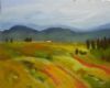 "Vineyard near Hermanus"