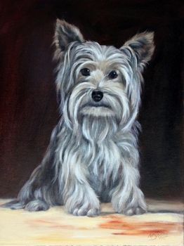 "Man's best friend."