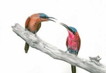 "Carmine Bee-Eaters"