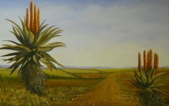 "Cape Aloe landscape"