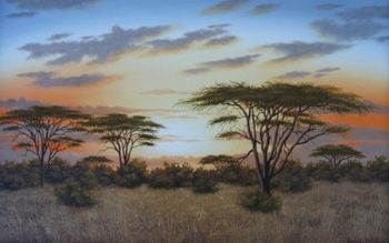 "Umbrella Tree Sunset"