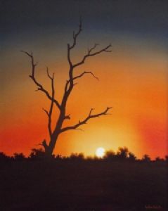 "Dry Tree Silouette "
