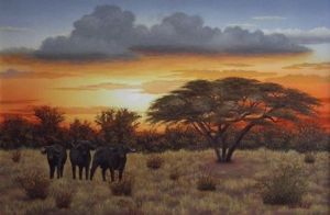 "Buffalo Sunset"