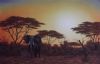 "Elephant Sunset"