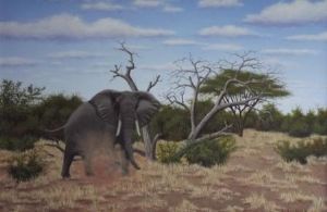 "Aggressive Elephant"