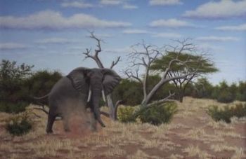 "Aggressive Elephant"