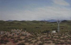 "Great Karoo Springbok"