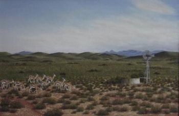 "Great Karoo Springbok"
