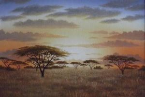 "Umbrella Tree Sunset 01"