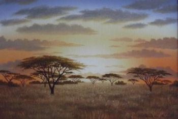 "Umbrella Tree Sunset 01"