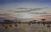 "Zebra Sunset"