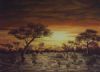 "Dramatic Sunset"