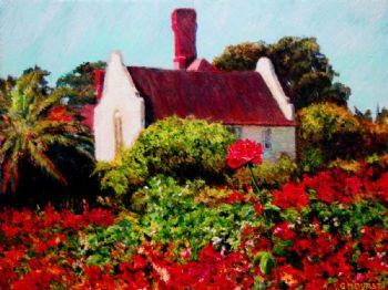 "Cape Rose"