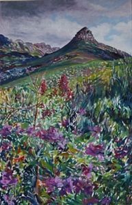 "Cape Town Lions Head"