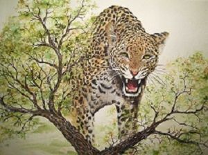 "Angered Leopard"