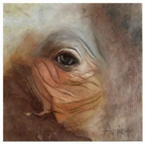 "Eye Rhino"