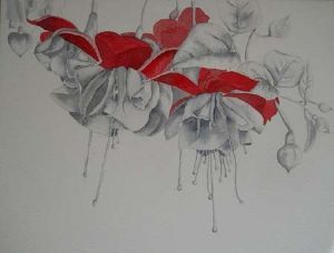 "Fuchsia Mono-mix"