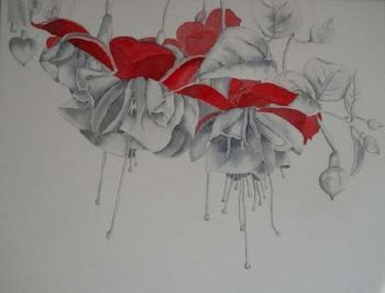 "Fuchsia Mono-mix"