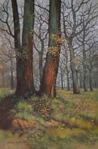 "Winter Oaks, Stellenbosch"