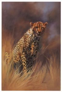 "Pensive Cheetah"
