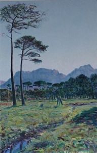 "Table Mountain from Rondesbosch 2012"