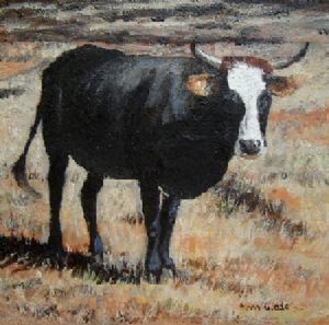"Nguni 28"