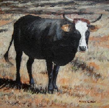 "Nguni 28"