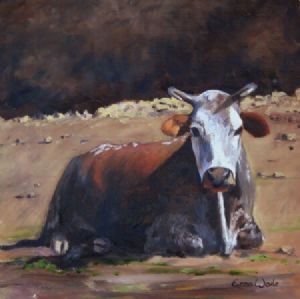 "Nguni 26"