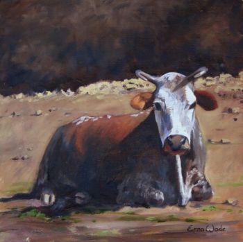 "Nguni 26"