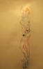 "Nude Hot Pants"