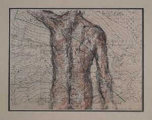 "Fig 9"