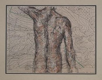 "Fig 9"