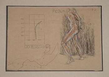 "Fig 24"