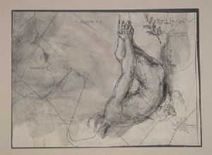 "Fig 46"