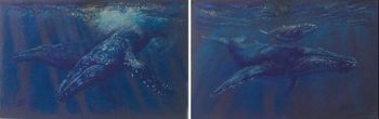 "Portrait of Whales Set"