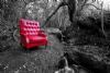 "Forest 2, My Father's Chair"