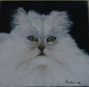 "Chinchilla"