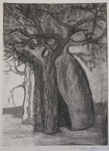 "Baobab 3"