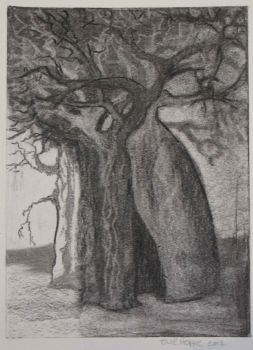 "Baobab 3"