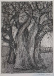 "Baobab 4"