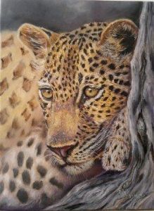 "Leopard"