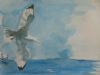 "Seagull"
