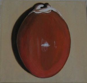 "Cypraea Aurantium"
