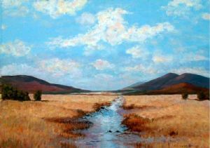 "Wetlands"