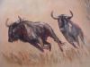 "Blue Wildebeest"