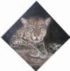 "Leopard 2"