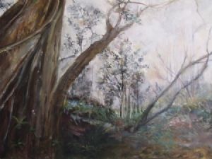 "Knysna Trees"