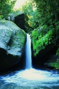 "Water Fall"