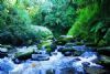 "Dancing Waters"